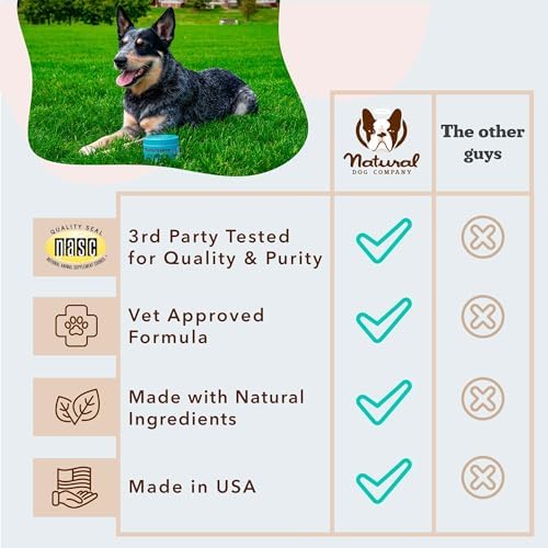 Natural Dog Company 25-in-1 Multivitamin for Dogs – Vet-Formulated Soft Chews for Puppies, Adults & Seniors, Supports Joints, Skin, Coat, Immune & Heart Health, NASC Certified, 180 Count