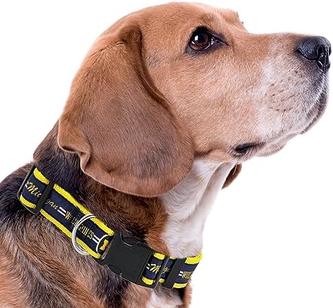 Pets First Collegiate PET Collar New Version Michigan Wolverines Dog Collar, Size Small. Best Sports Team Color for Dogs & Cats. A Shiny & Colorful Dog & Cat Collar Licensed by The NCAA