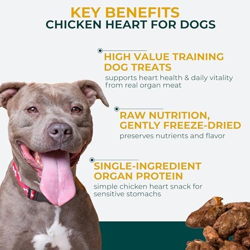 Momentum Carnivore Nutrition Freeze-Dried Chicken Heart Dog Treats & Cat Treats – Single-Ingredient, High-Protein, Grain-Free, Naturally Nutrient-Rich – Made in USA – 3.5 oz Bag (Pack of 2)