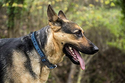 Pets First NFL Tennessee Titans Licensed PET COLLAR, Extra Large - Heavy-Duty, Strong, and Durable Dog Collar. Available in 31 Football Teams and 4 Sizes