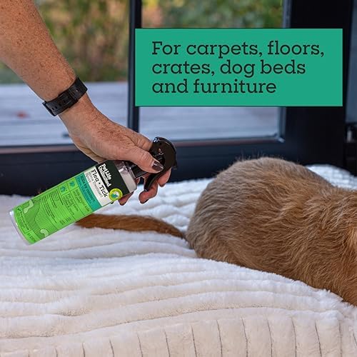Pet Life Unlimited Flea & Tick Spray for Home, 16 oz, Plant-Based Indoor Prevention and Treatment for Dogs, Kill & Repel Fleas, Ticks & Eggs, Protect Carpet, Furniture & Bedding, (Pack of 6)