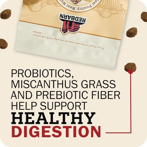 Redbarn Kibble Whole Grain Sky Recipe, Premium Dog Food, 22 lbs
