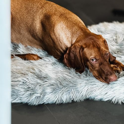IHAPPYDOG Faux Fur Orthopedic Dog Bed, Memory Foam, Grey 50"x30"
