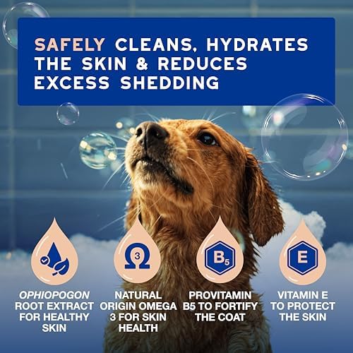 DOUXO SPA Shed Control Dog Shampoo, 16 fl oz