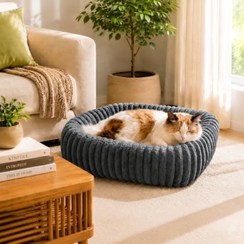 FURTIME Washable Dog Bed for Small Dogs, Cat Beds for Indoor Cats, 20"