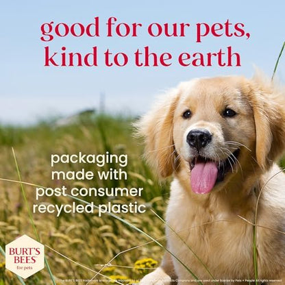Burt's Bees Manuka Honey Ginger Dental Dog Treats, Peanut Butter, Small