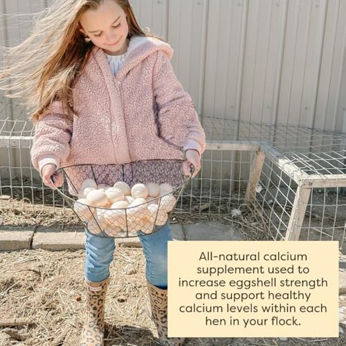 Scratch and Peck Feeds | Oyster Shell Chickens & Ducks | 4 lb Pouch