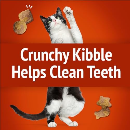 Friskies Purina Party Mix Gravy-Licious Crunch Chicken and Gravy Flavors Cat Treats - 30 oz Canister (Pack of 2)