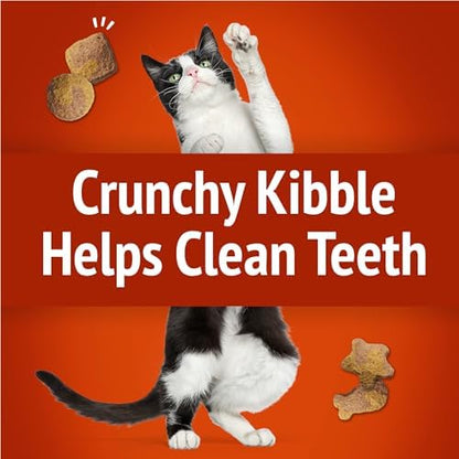 Friskies Purina Party Mix Gravy-Licious Crunch Chicken and Gravy Flavors Cat Treats - 30 oz Canister (Pack of 2)