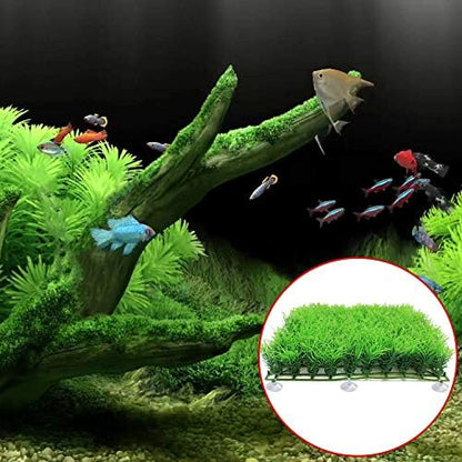 FEBSNOW Aquarium Suction Cups with Ties, Fish Tank Plant Holders