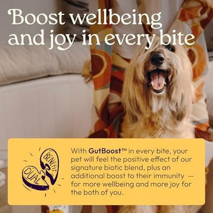 WellJoy Immune Dog Supplement + Vitamin E, Astaxanthin, GutBoost, 90ct