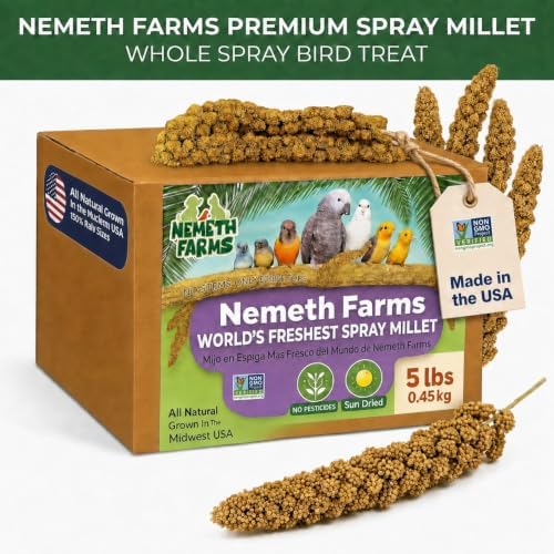 Nemeth Farms Spray Millet - Edible Tops Only, Non-GMO and Sun-Dried - 5 lbs for Parakeets, Conures and Cockatiels