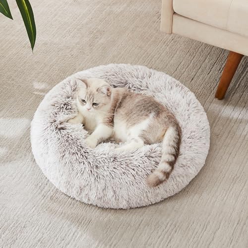 Western Home Calming Donut Cat Bed Small Dog Bed Washable,20" White Khaki
