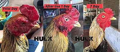 HULX 2 PCS, Rooster Booster Chicken Wound Care Skin Soother Healing 30 CC. Protection & Quickly Recover Skin Heal Wounds Pain Fast Dries Work Well for Sore Mouth Face Feet Poultry Bird