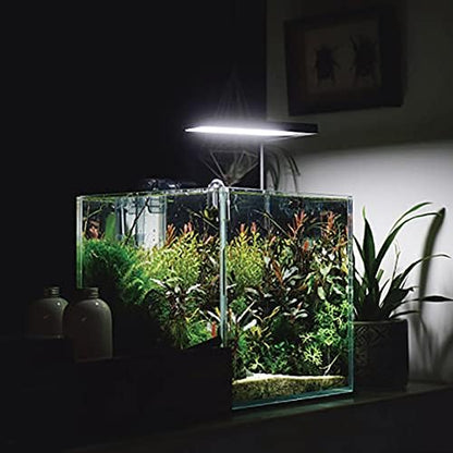 Allcolor Low Iron Glass Ultra Clear Rimless Aquarium Tank (7Gal)