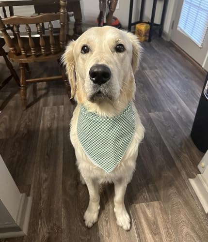 Lionet Paws Dog Bandana for Small Medium Large Dogs, Cat Dogs Kerchief Triangle Bibs Scarf for Girl or Boy