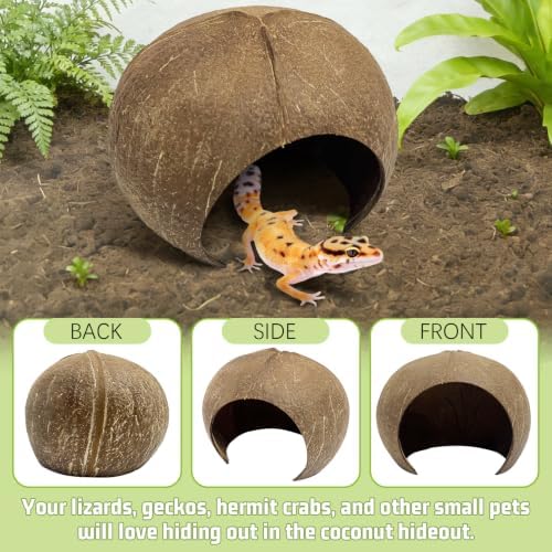 PINVNBY Large Natural Coconut Reptile Hideouts Lizard, Coco Hut Hermit Crab Hut Aquarium Fish Hide Cave for Small Reptile Crested Gecko Leopard Gecko Spider Snail Climber Toys