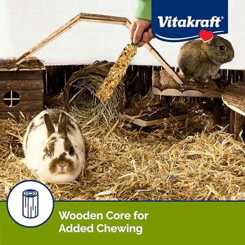 Vitakraft Crunch Sticks Rabbit Treat Wild Berry & Honey Flavor -2 Sticks