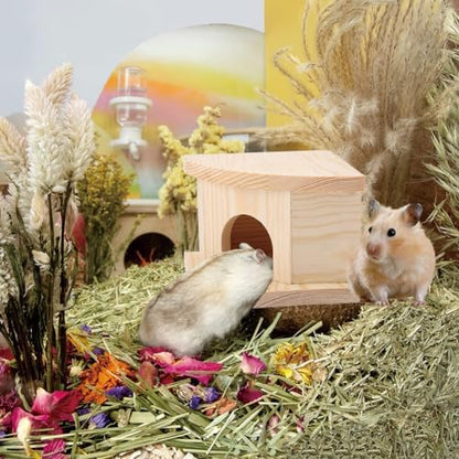 Joyzan Hamster Hideout Wooden House, Chamber Mouse Playing Hiding Chewable