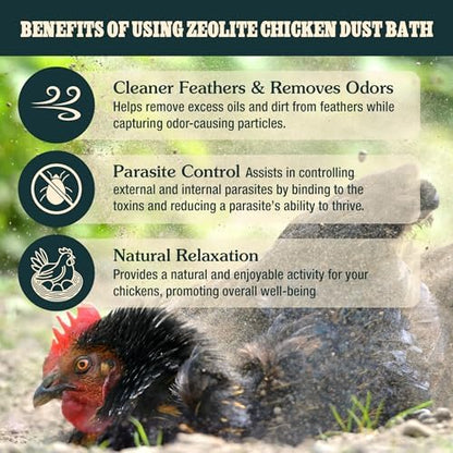 Zeolite Chicken Dust Bath, 24 lb, Natural Mineral Dust Bath for Chickens