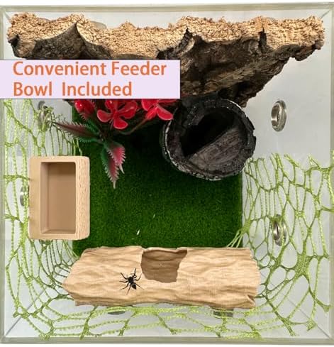 6Pcs Jumping Spider Accessories Set,Tree Jumping Spider Climbing Toy with Cave, Jumping Spider Feeder,2 Wooden Platforms and 2 Green Moss Ribbons,Small Reptile Enclosure Decoration Accessories