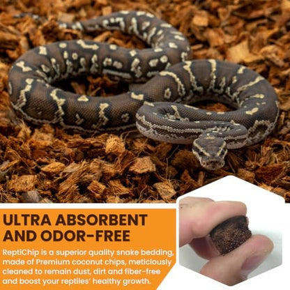 ReptiChip Reptile Bedding Loose Coconut Chip 6 Quart Coco Husk Substrate Mulch for Snake Habitat, Ball Python Terrarium, Turtle Tanks, Tortoise Enclosure