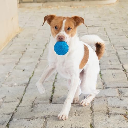 Best Pet Supplies Squeaky Dog Toys with Soft Durable Fabric for Small, Medium and Large Pets Interactive Toy for Indoor Play, Supports Active Biting and Play - Blue, Large