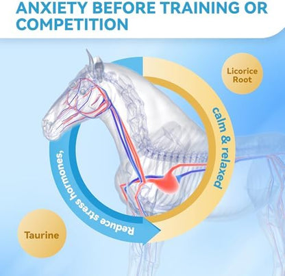 Horse Calming Support Powder – Helps Maintain Relaxed Behavior & Focus | Equine Taurine & Magnesium Blend | 15-Day Supply