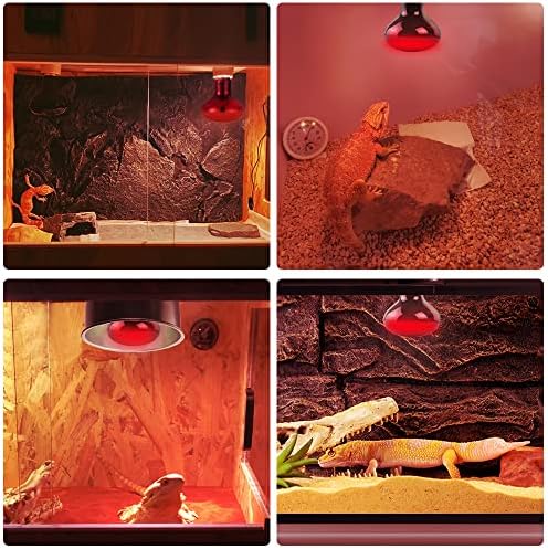 LUCKY HERP 75W Reptile Heat Lamp Bulbs 2 Pack, Reptiles & Amphibians Infrared Basking Spot Lamp, Heat Light Bulb for Turtle, Bearded Dragon, Lizard