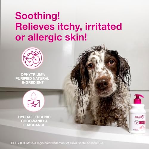 Douxo S3 Calm Dog Shampoo for Itchy Skin Relief, Dog Shampoo for Allergies and Itching, Soothes Itchy, Irritated or Allergic Skin For Dogs and Cats, 16.9 fl oz