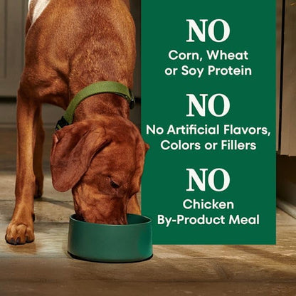 Nutro Natural Choice Adult Dry Dog Food, Lamb & Brown Rice Recipe, 30 lb