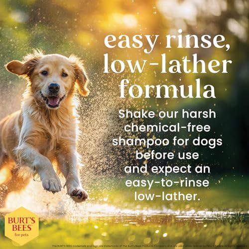 Burts Bees for Pets Hypoallergenic Dog Shampoo, 16 Fl Oz, 6-Pack