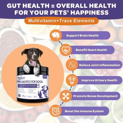 NATURE TARGET 6 Billion Freeze Dried Probiotics for Dogs, 120 Bites