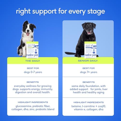 Native Pet Senior Daily Dog Vitamins & Supplements – 12-in-1 Dog Multivitamin Powder for Senior Dogs – Supports Mobility, Cognition, Digestion, Immune Health & More – 30 Scoops