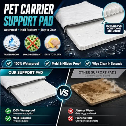 Large Pet Carrier for Cats and Small Dogs, Soft-Sided Travel Carrier with Safety Leash, Scratch-Resistant Mesh, Reinforced PVC Support Base, Foldable Design, 20 x 13 x 13 Inches