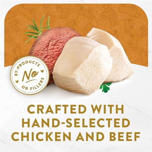 PURINA Fancy Feast Appetizers Lickable Grain Free Cat Food Topper White Meat Chicken and Shredded Beef Appetizer - (Pack of 10) 1.1 oz. Trays