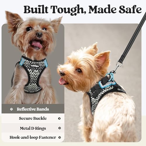rabbitgoo Dog Harness Medium Sized and Leash Set, Step-in Puppy Pet Vest