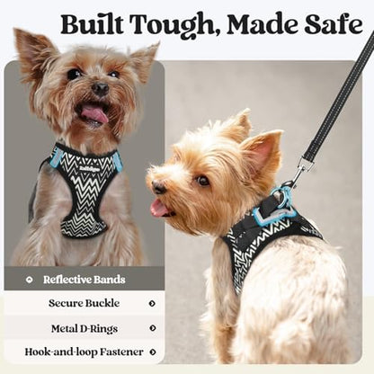 rabbitgoo Dog Harness Small Sized and Leash Set, Step-in Puppy Pet Vest