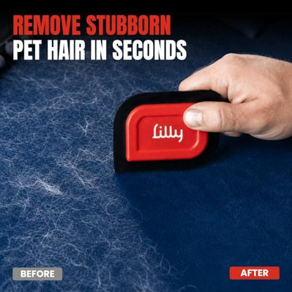 Lilly Brush Mini Pet Hair Detailer | Reusable Fur Remover for Car Interior, Carpet, Couch & Furniture