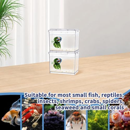 MoonOrange Mini Betta Fish Tank, Small Fish Bowl for Temporary Space, 0.2 Gallon Stackable Cube Tank with Betta Leaf and Gravels for Small Fish, Insect, Shrimp, Crab, Spider.(Pack-2)
