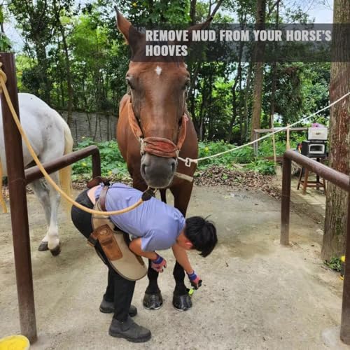 Horse Grooming Tool - Hoof Brush with Stiff Bristled Bristles and Soft Rubber Handle, Efficiently Cleans Horse Hooves and Doubles as a Mud Remover for Boots, Random Color 4PCS