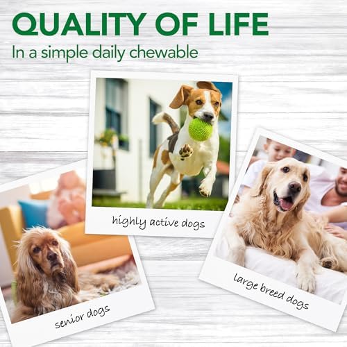 Vet's Best Dog Pain Relief Supplement, Dog Aspirin Alternative, 150 ct