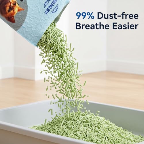 Green Tea Tofu Cat Litter, Fresh Scent, Multi-Cat, Fast Clumping, 33.6 lb