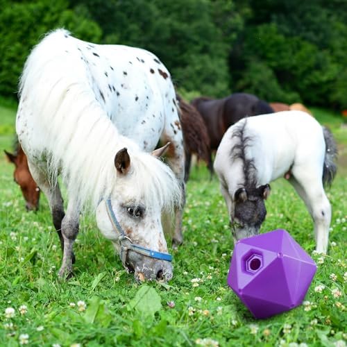 Seenelling 1 Pack Horse Treat Ball, 9" Feeder Toy for Horses, Purple