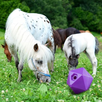 Seenelling 1 Pack Horse Treat Ball, 9" Feeder Toy for Horses, Purple