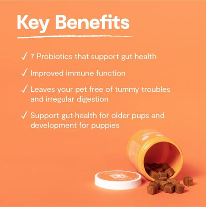 Open Farm Probiotic Chews, Dog Supplement, 12.7 oz, 90 Count