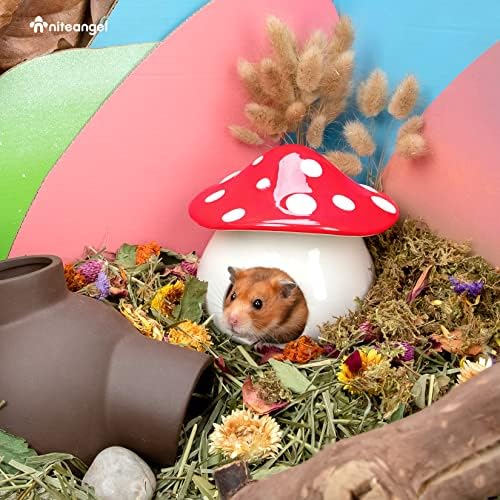 Niteangel Ceramic Hamster Habitat Hideout: Mushroom-Shaped & Non-Chewable