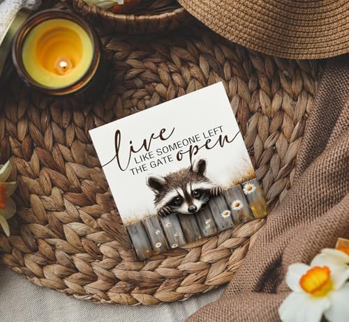 Raccoon Sign - Live Like Someone Left The Gate Open Wooden Box Signs, Raccoon Decor, Farmhouse Trash Panda Wood Decoration Home Decor For Desk Table Shelf 5x5 Inch
