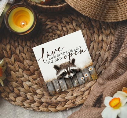 Raccoon Sign - Live Like Someone Left The Gate Open Wooden Box Signs, Raccoon Decor, Farmhouse Trash Panda Wood Decoration Home Decor For Desk Table Shelf 5x5 Inch