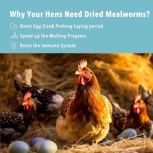 11lb Dried Mealworms for Wild Birds,Treats for Chickens,Laying hens